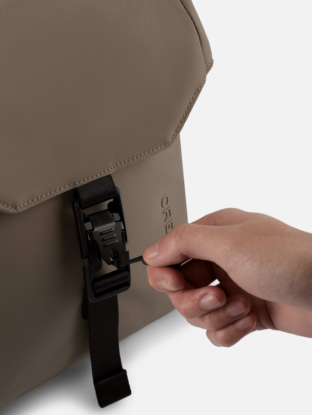 Morral Boer