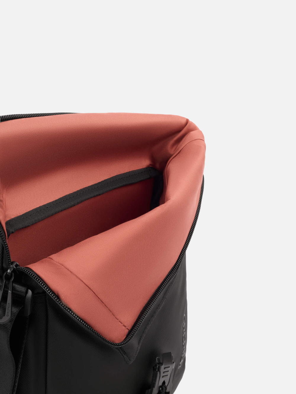 Morral Boer